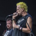 GutterPunk - Professional Concert Photography